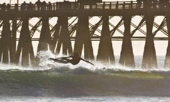 Southern California Club Resort Oceanside